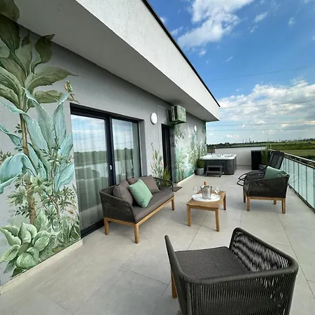 Bridge & Jacuzzi Timişoara